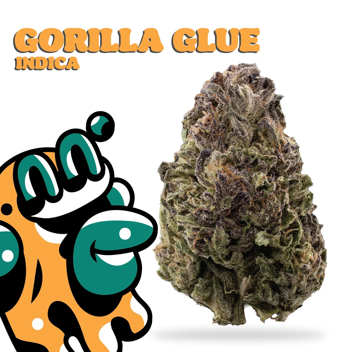 gorilla glue flower