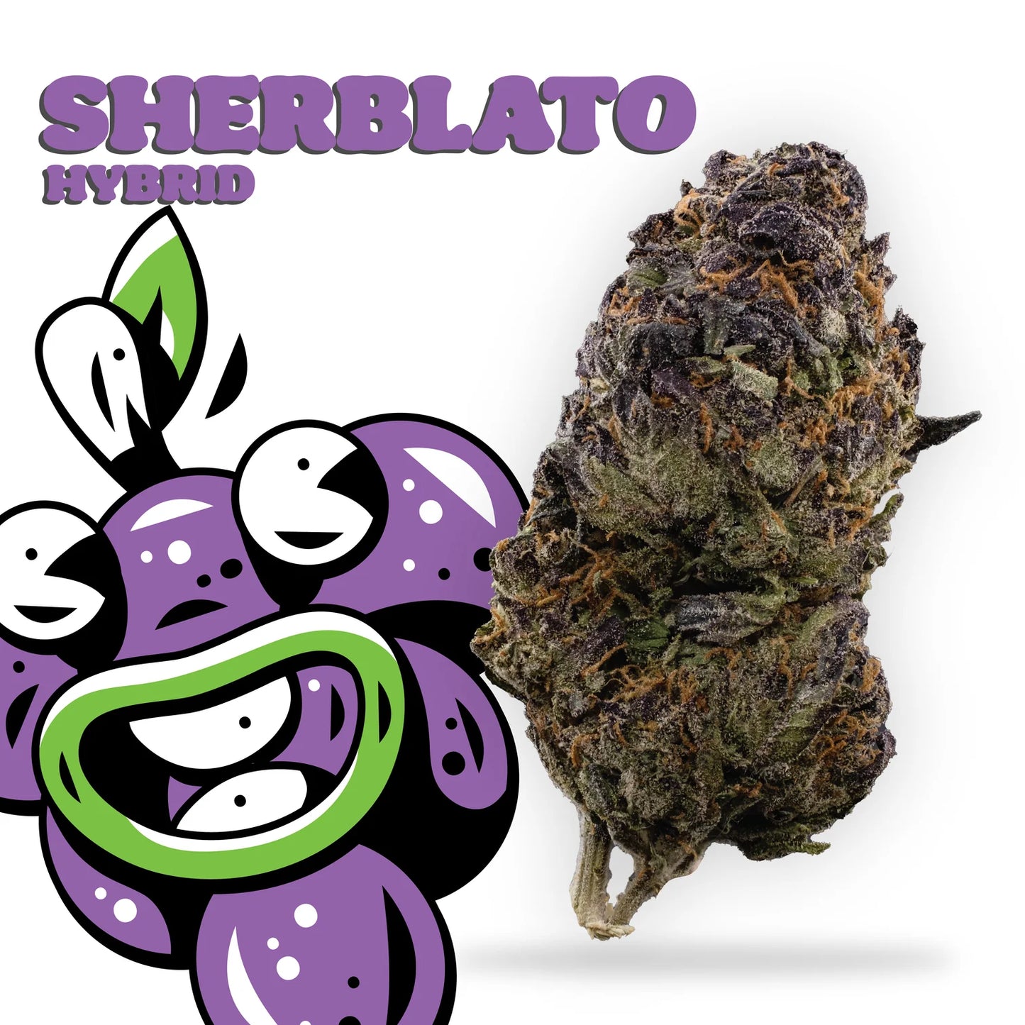 sherblato hybrid