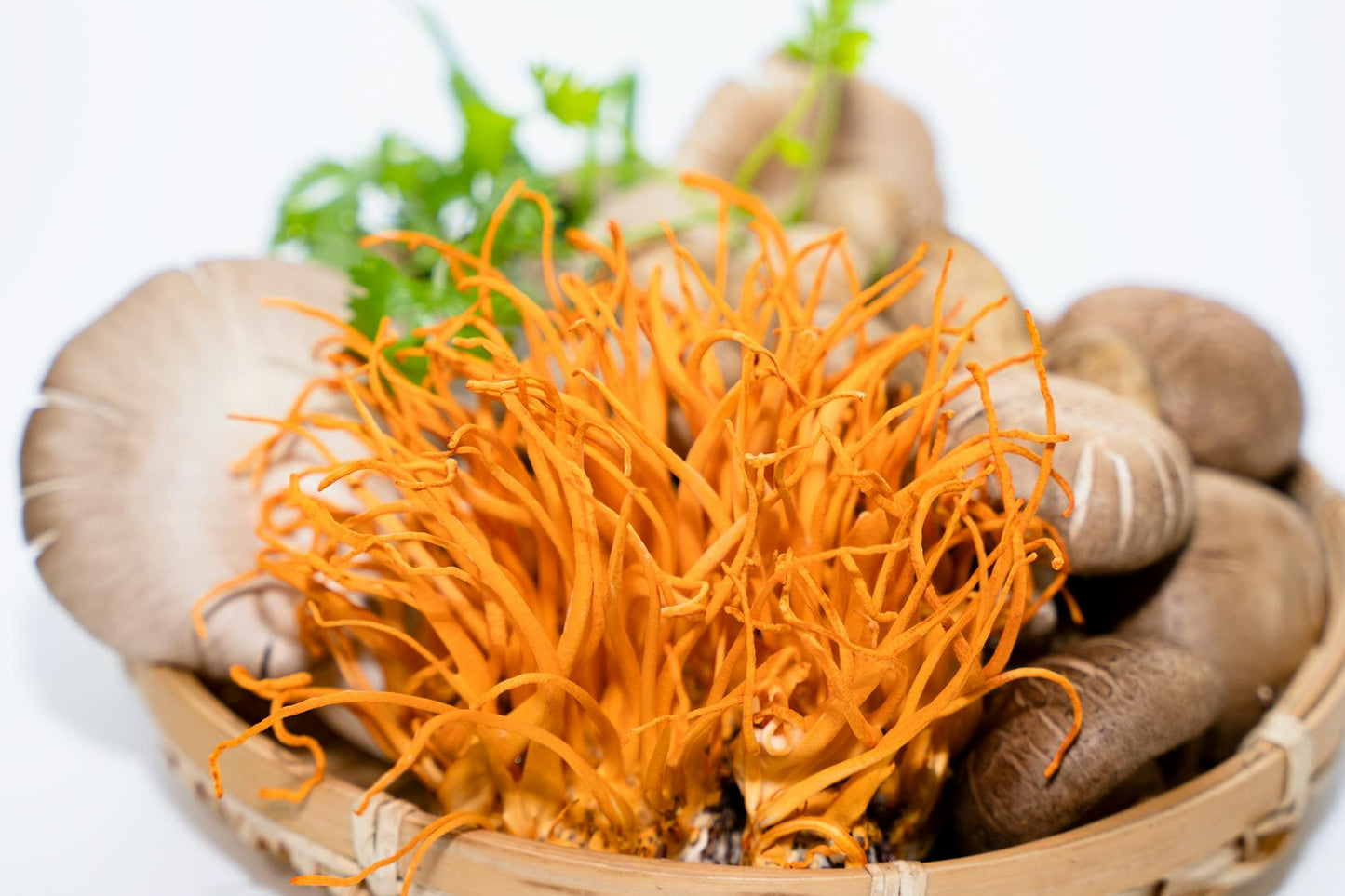 Three medicinal mushroom varieties: lion's mane, reishi, and cordyceps on slate background with neural theme