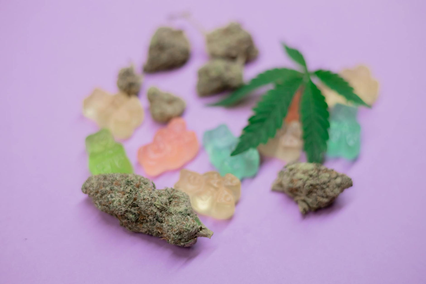 Hemp flower buds and THC products displayed with magnifying glass for potency analysis