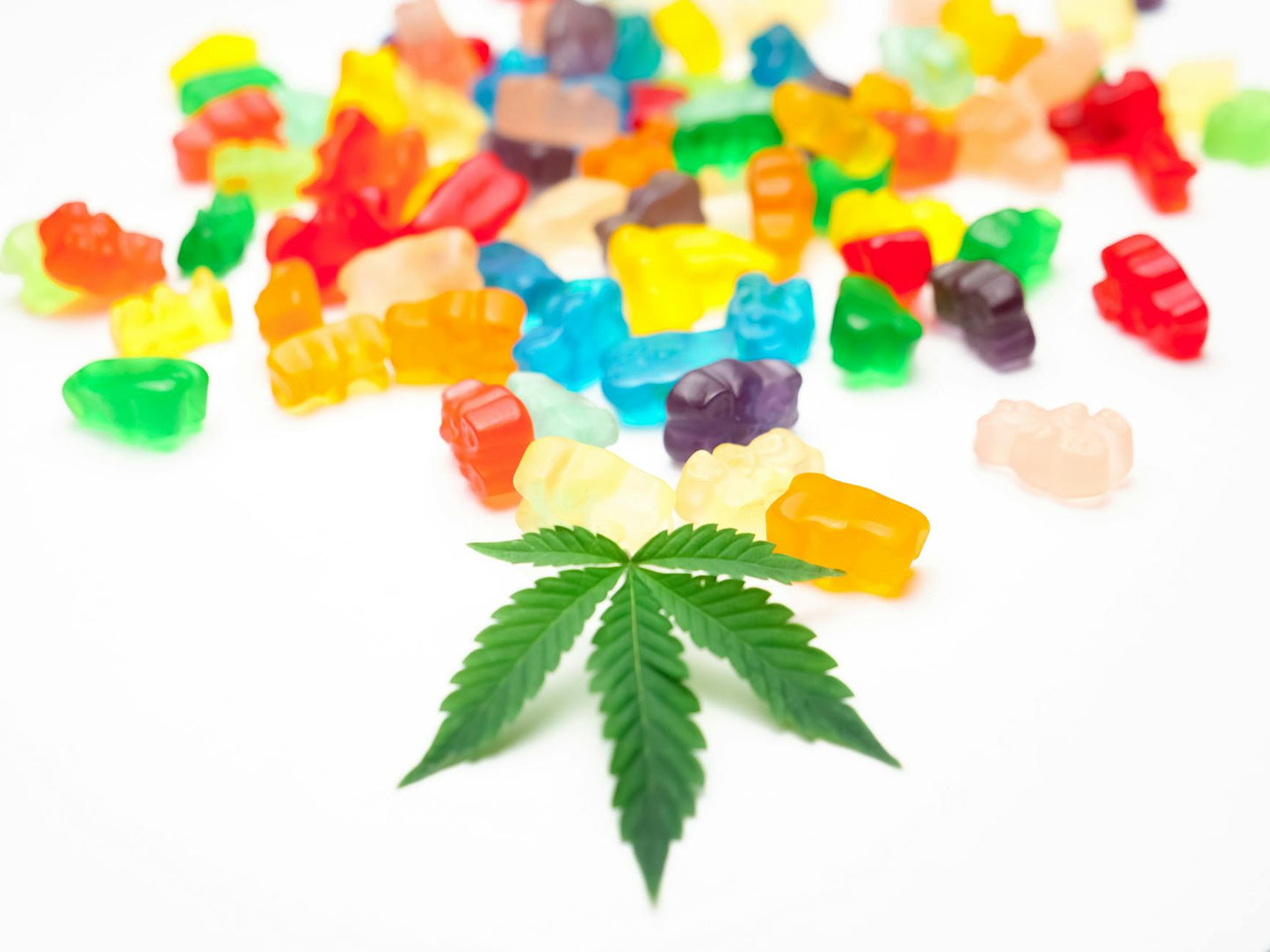Functional mushroom gummies with Lion's Mane and Reishi mushrooms showing mushroom gummies benefits