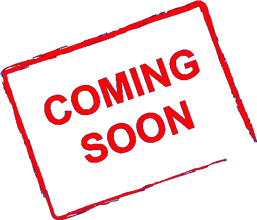 Cannabis Education Crisis: Why America's Real Marijuana Problem Is Knowledge