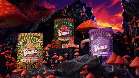 amanita muscaria mushroom gummies review