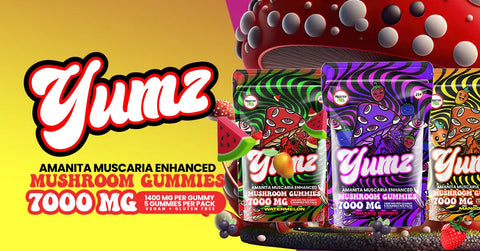amanita gummies