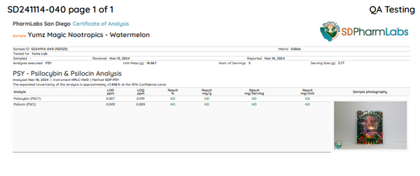 YUMZ - Legal Mushroom Gummies (Wholesale Bundle) 60 Bags