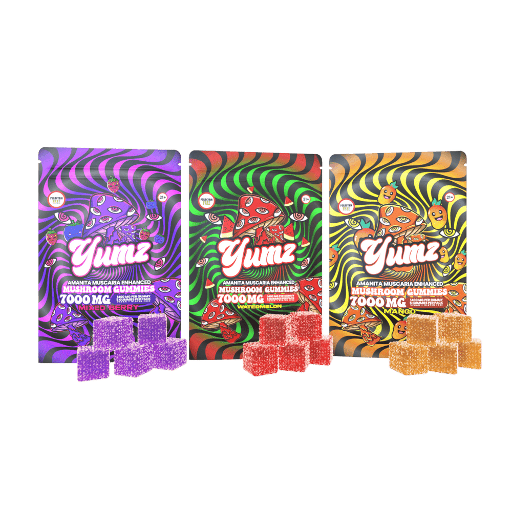 
                  
                    best amanita mushroom gummies
                  
                