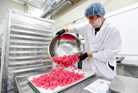 best thc gummies of 2023