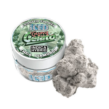 
                  
                    iced guavo gelato thc flower
                  
                