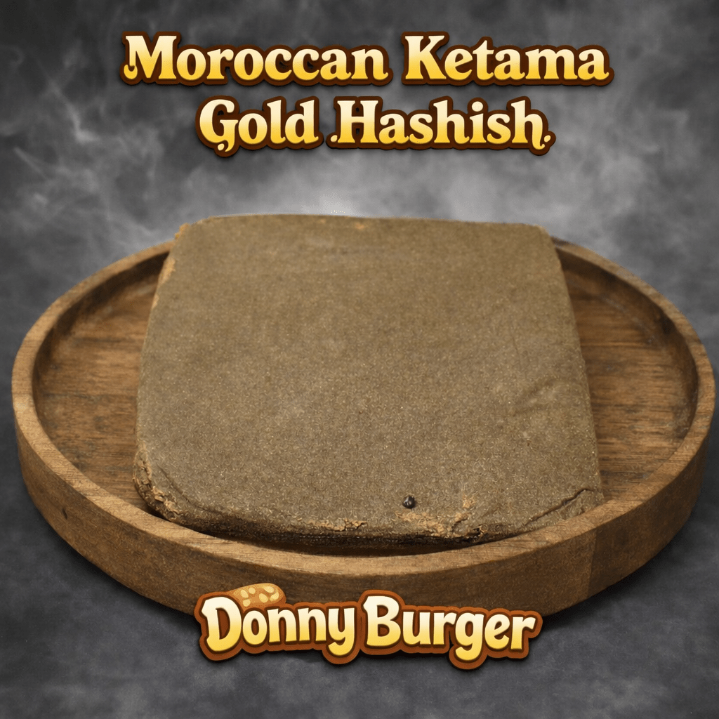https://i0.wp.com/concentratecbd.com/wp-content/uploads/2026/02/Moroccan-Donny-Burger.png?fit=1024%2C1024&ssl=1
