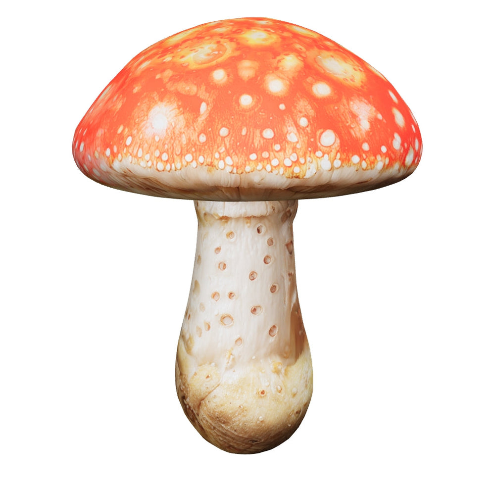 
            
                Load 3D model into Gallery viewer, YUMZ - Amanita Muscaria Mushroom Gummies ( Bundle )
            
        