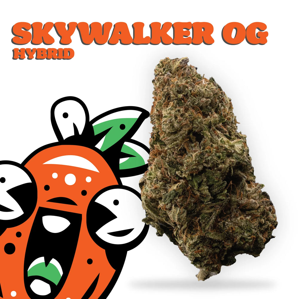 
                  
                    skywalker og
                  
                