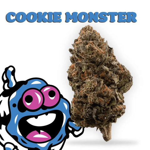 will thca show up on a drug test?