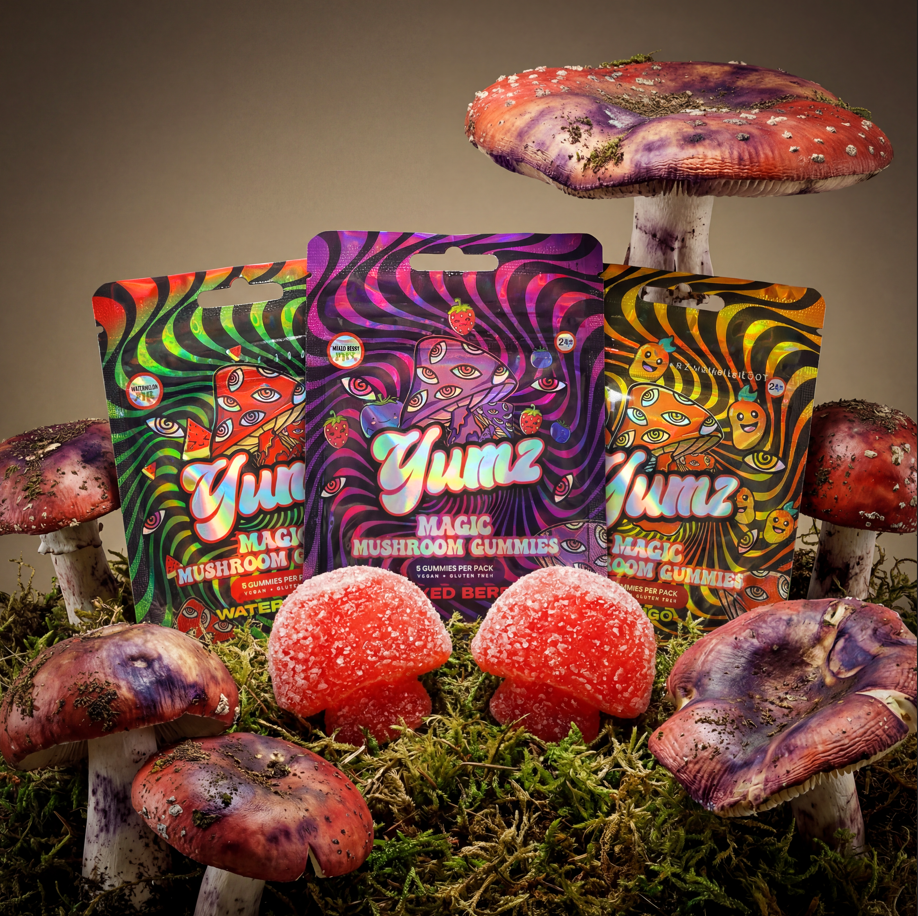 YUMZ - Mushroom Gummies (Bundle)